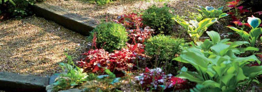DIY Landscaping Tips